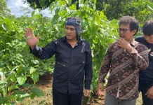 Potensi Ekonomi Sektor Pertanian, Diky Candra Bidik Pengembangan “Sacha Ichi”