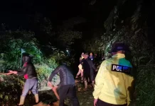 Longsor Tutup Akses Jalan Banjarwangi-Singajaya Garut