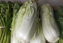 Mengenal Ragam Nutrisi dan Manfaat Sawi Putih