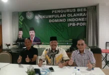 HGI Dorong Domino jadi Olahraga Pikiran