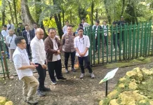 HUT ke 174 Kebun Raya Cibodas dan Revitalisasi Lumut Terbesar di Indonesia