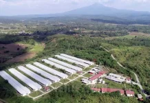Pemkab Tata Ulang BUTOM, Prioritaskan Hilirisasi Pertanian dan Dampak Ekonomi