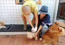 Pemkot Bandung Gelar Vaksinasi Rabies Gratis di Cikutra