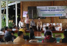Pemkab : Kontribusi Sektor Padi dan Jagung Naik 5,9 Persen