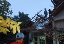 Tiga Rumah Rusak akibat Pohon Tumbang di Kabupaten Tasikmalaya