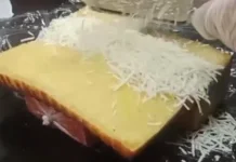 Sekilas Tentang Roti Bakar dan Perkembangannya