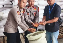 Ketahanan Pangan, Polisi Dampingi Penyerapan Jagung Hasil Panen Petani
