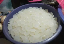 Cangkalèng Biji Buah Aren, Putih, Kenyal Bernutrisi