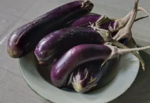 Terong Ungu, Sayur Bernutrisi Baik untuk Kesehatan