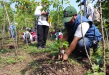 Penghijauan Eks TPA Leuwigajah Dipercepat, 400 Bibit Tanaman Ditanam