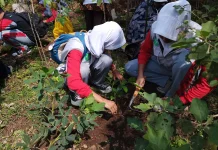 Pemulihan Lahan Eks TPA Leuwigajah Difokuskan pada Penguatan Ekologi dan Ekonomi