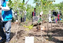 Ancaman Kemarau Panjang, DLH Cimahi Siapkan Strategi Pemeliharaan Tanaman