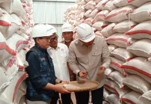 Sidak Gudang Bulog Ciamis, Wamentan Stok Beras  Aman