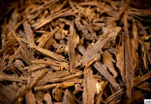 Harga Oud Bisa Capai Ratusan Juta, Ini Alasannya