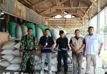 Babinsa Koramil Binong Gelar Giat Pendampingan Jemput Gabah Dari Mitra Bulog