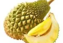 Manfaat Buah Nangka untuk Kesehatan Tubuh Manusia