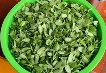 Pencok Katel: Cita Rasa Unik Kuliner Khas Majalengka