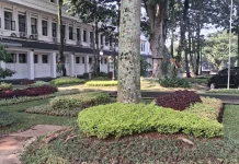 Perkuat Mitigasi Bencana, BPBD Kota Bandung Siapkan Program Hutan Kota