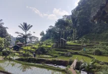 Desa Wisata Cibeusi, Pesona Wisata Alam Indah di Subang