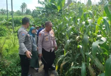 Polisi dan BPP Bersinergi Fasilitasi Harga Jual Jagung Petani