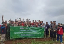 Kolaborasi Penanaman Pohon Jadi Investasi Lingkungan untuk Generasi Mendatang