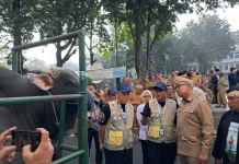 Pemkot Bandung Lepas 184 Petugas Pemeriksa Hewan Kurban