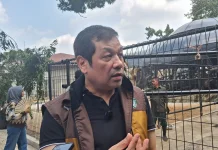 Faunaland Siapkan Konsep City Zoo Modern jika Terpilih Kelola Bandung Zoo