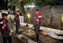Pendopo Garut Dijadikan Pesta Miras, Dua Remaja Diamankan Polisi