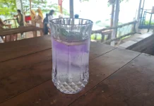 Manfaat Minuman dari Bunga Telang untuk Kesehatan