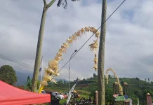 Mengenal Makna Janur Kuning dalam Kebudayaan Sunda