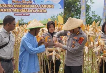 Panen Raya Jagung Serentak, Kapolresta Tasikmalaya: Dukung Swasembada Jagung