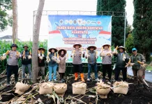 Kapolres Cimahi Ikuti Panen Raya Jagung Serentak Nasional di Cisarua