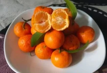 Sekilas Tentang Jeruk Wogan Mandarin