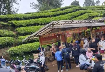Kebun Teh Sukawana Tempat Bersantai dan Menikmati Kuliner