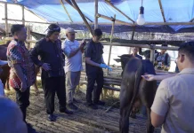 Sidak hewan Kurban, Diky Candra: Hewan yang Ada Sesuai Syariat