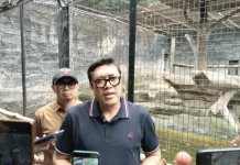 Belum Ada Pengelola Baru, PDIP Jabar Bantu BPJS dan Pakan Satwa Bandung Zoo