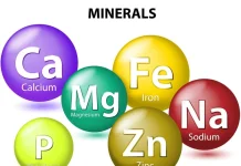 Mineral Penting Penjaga Kesehatan Tubuh