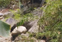 Tambang Emas di Tanah Milik, Pemkab Garut: Tidak Langgar Regulasi