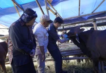 Diky Candra Anjurkan Warga Gunakan  Plastik Putih untuk Bungkus Daging Kurban