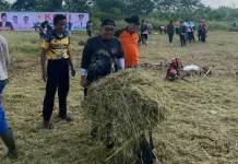Syukuran Kemenangan Persib, Warga Tasikmalaya Bersihkan SOR Mangunreja