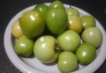 Sekilas Manfaat dari Buah Tomat Hijau