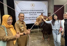Peternak Cimahi Bangga Sapi “Dragon Ball” Lolos Seleksi Kurban Presiden