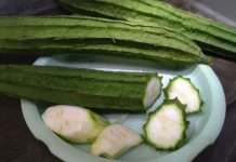 Sayuran Oyong yang Mulai dilupakan Generasi Z
