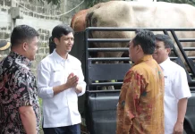 Sambut Iduladha, Holding DEFEND ID Salurkan 100 Hewan Kurban untuk Masyarakat