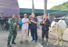 Penyaluran 17 Hewan Kurban PT. TKG Taekwang Indonesia Mendapat Apresiasi Warga