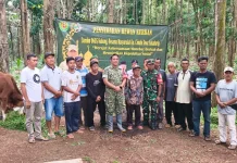 Dandim Subang Serahkan Dua Ekor Sapi Kurban Bagi Warga Cimahi Cijambe