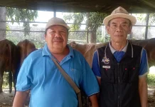 Distribusi Kurban Masjid Muhajirin Ujungberung Capai Seribu Paket Daging