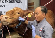 Dispangtan Cimahi Kerahkan Puluhan Petugas Periksa Kesehatan Hewan Kurban