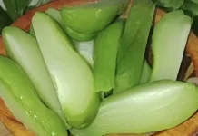 Kandungan Nutrisi dalam Labu Siam Rebus