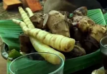 Menemukan Kembali Ganyong, Umbi Langka Kaya Manfaat